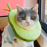 After surgery Anti bite Avocado Collar for pets