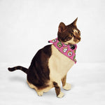 Kawaii Sushi  Cat & Dog Bandana